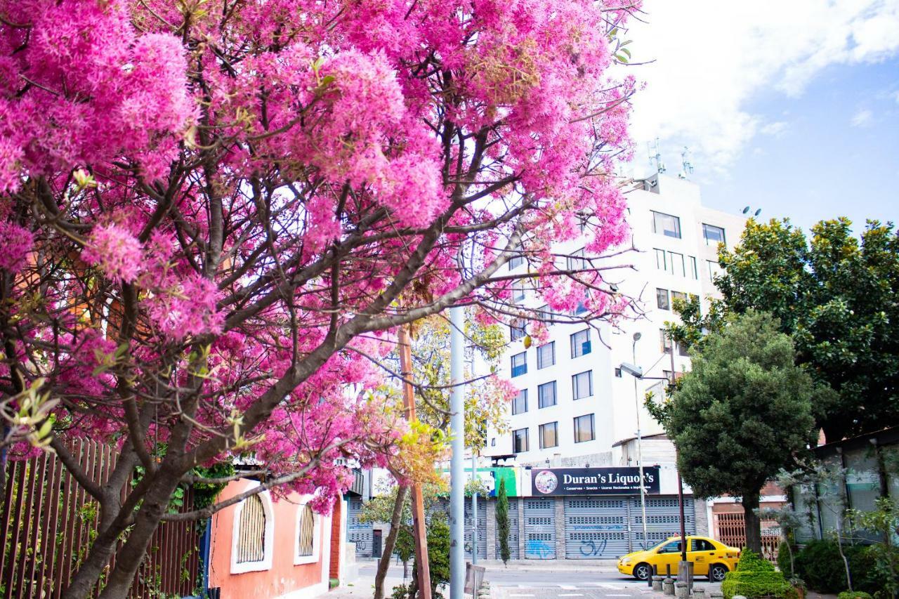 Hostal Loro Verde Quito Luaran gambar